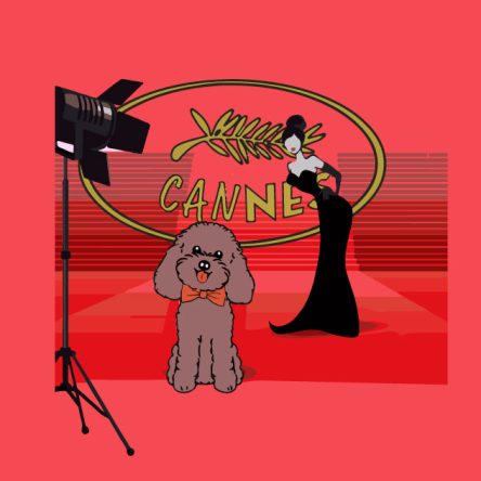 Perros de cine Cannes Peluquería Perros Perros de cine Cannes Peluquería Perros